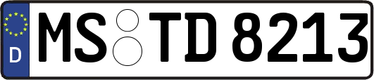 MS-TD8213