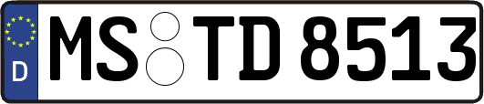 MS-TD8513