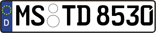 MS-TD8530