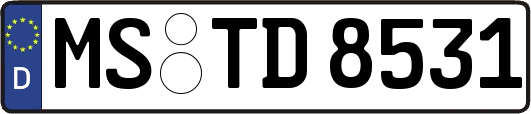 MS-TD8531