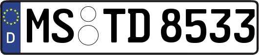 MS-TD8533