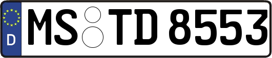 MS-TD8553