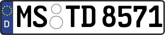 MS-TD8571