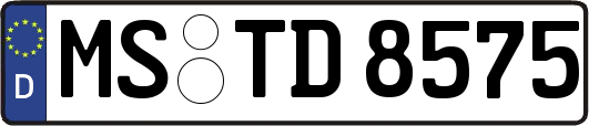 MS-TD8575