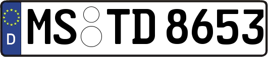 MS-TD8653