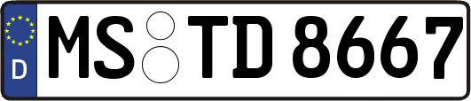 MS-TD8667