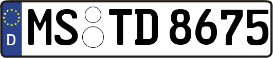 MS-TD8675