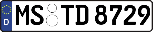 MS-TD8729