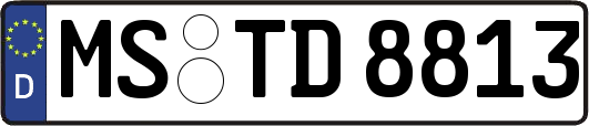 MS-TD8813