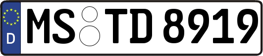 MS-TD8919