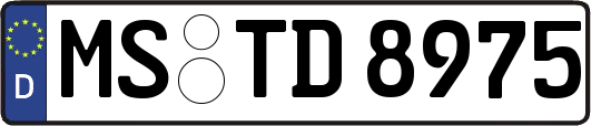 MS-TD8975