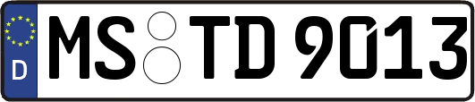MS-TD9013