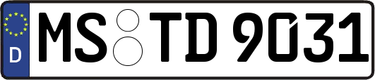 MS-TD9031