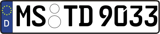 MS-TD9033