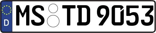 MS-TD9053