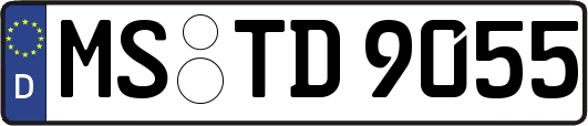 MS-TD9055