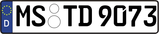 MS-TD9073