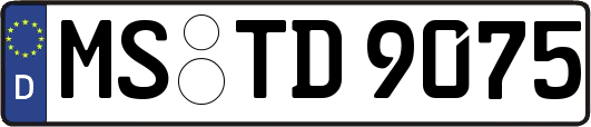 MS-TD9075