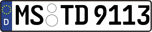 MS-TD9113