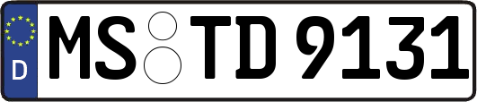 MS-TD9131