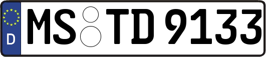 MS-TD9133