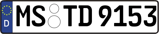 MS-TD9153