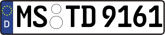 MS-TD9161