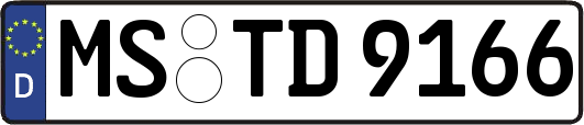 MS-TD9166