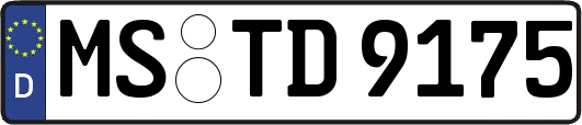 MS-TD9175