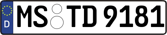 MS-TD9181