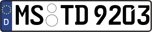 MS-TD9203
