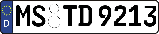 MS-TD9213