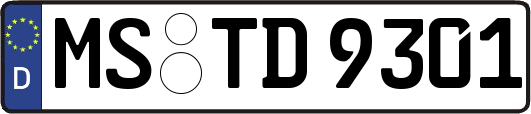MS-TD9301