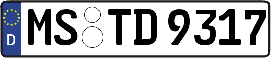 MS-TD9317