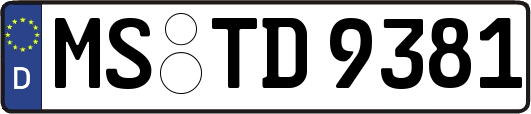 MS-TD9381