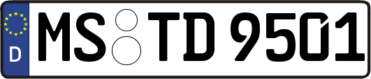 MS-TD9501