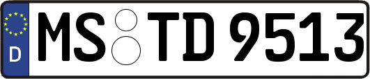 MS-TD9513