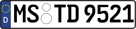 MS-TD9521