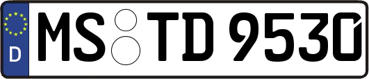 MS-TD9530