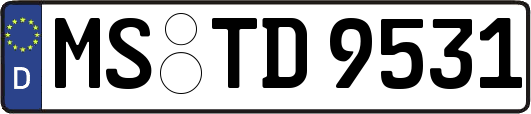 MS-TD9531