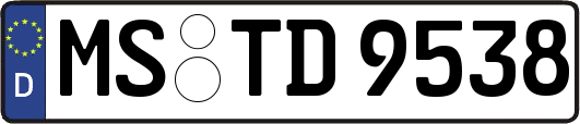 MS-TD9538