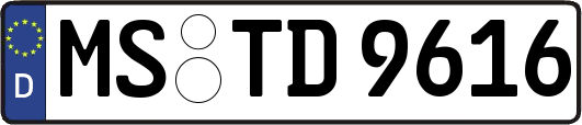MS-TD9616