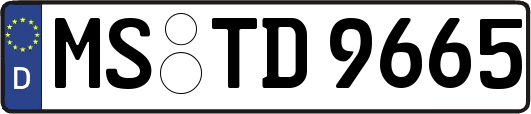 MS-TD9665