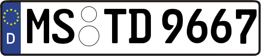MS-TD9667