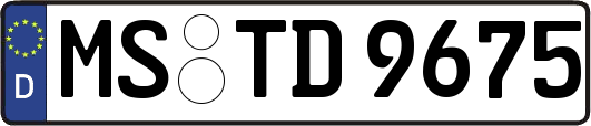 MS-TD9675