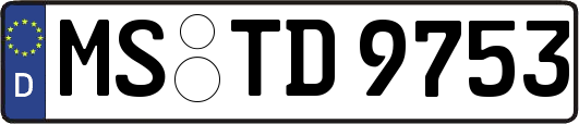 MS-TD9753