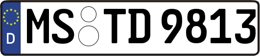 MS-TD9813