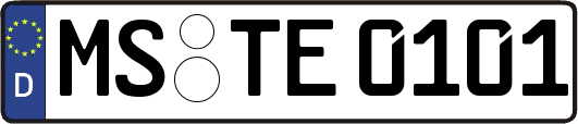 MS-TE0101