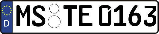 MS-TE0163