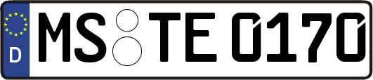 MS-TE0170
